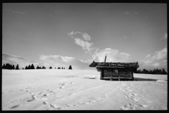 Shot with NOMO CAM 135 M3.